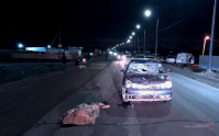 фото: ГУ МВД по Волгоградской области