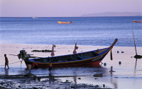 фото:Globallookpress