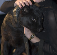 фото:Globallookpress