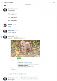 Арестовали живодерок из Хабаровска: девушки успели перейти на людей 