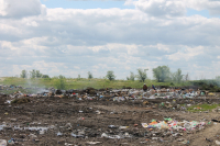 Еланский МСК