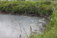 Еланский район