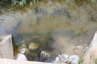 Еланские пруды-накопители