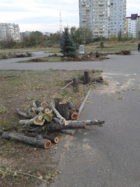 В Волгограде может затянуться благоустройство парка героев-летчиков