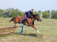 Казаки