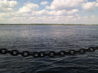 В Волгоградской области мужчине за незаконный вылов рыбы грозит арест 