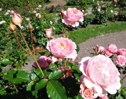 Аллея героев