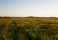 Городищенский район