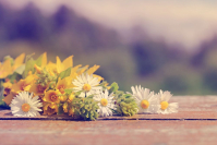 фото:Globallookpress