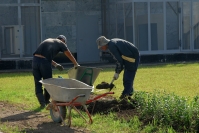 Волгоградец пытался за взятку освободить от суда троих узбеков и попал в суд сам