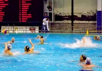 Австралия – Россия – 5:11 (2:2, 1:2, 1:4, 1:3).