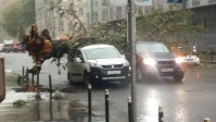 Ураган в Москве унес несколько жизней