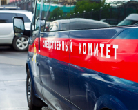СКР заявил о непричастности к составлению фоторобота похитителя 5-летней девочки