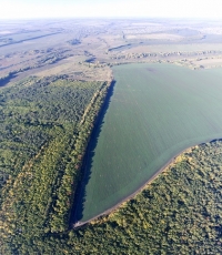 Лес