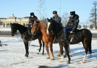 Казаки на службе