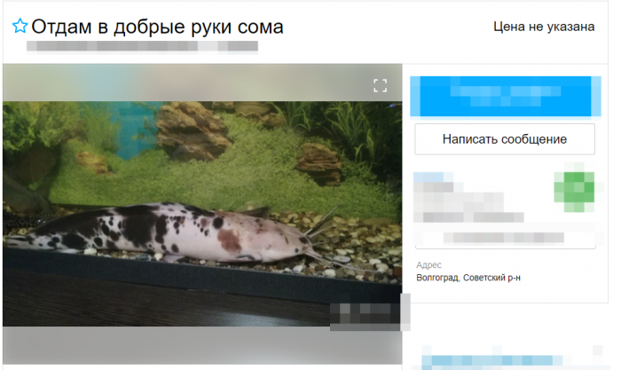 Бесплатная жизнь: что, как и где можно получить бесплатно