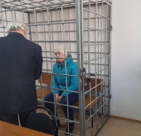 Следственный комитет рассказал о подробностях ареста детоубийцы