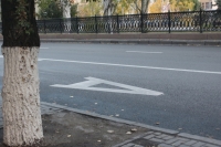По «выделенкам» в городах-участниках ЧМ разрешили ездить делегациям, участникам и СМИ