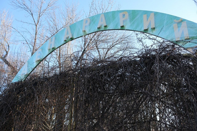 Дендрарий