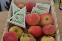 Больше половины россиян согласны с «цветной» маркировкой продуктов