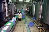 Россельхознадзор передумал вводить запрет на белорусское молоко