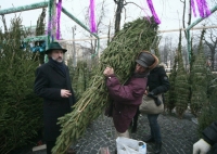 В Волгограде стали известны места проведения елочных базаров