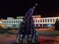 Новогоднюю ель в Городище не пощадил волгоградский ветер