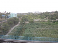 Сохранение поймы Царицы жителям Волгограда оказалось неинтересно