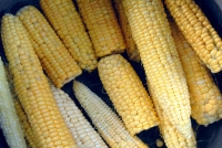 Турция ужесточила меры к ввозимой продукции из России