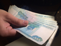 Сотрудники УФСИН Волгоградской области скрыли сведения о своих доходах
