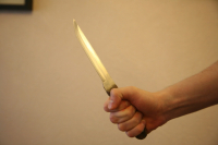 Жителя Волгоградской области после нападения на полицейских этапируют в закрытое учреждение