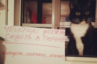 Суд над хабаровскими живодерками начнется 13 марта