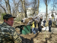 Волгоградцы очистят город своими силами и подручными средствами