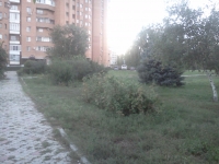 Управляющие компании