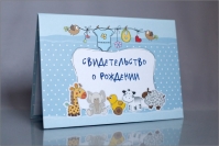 Госдума в окончательном чтении приняла закон о детских именах
