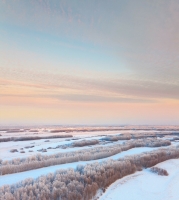 Лес
