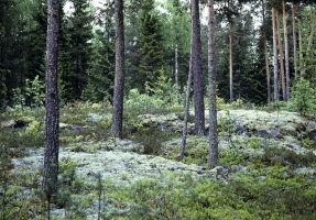 Заповедник