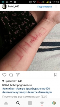 Волгоградский психолог рассказала, кто может стоять за «группами смерти»