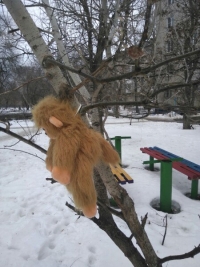 В повешенных за голову игрушках волгоградский активист увидел насилие