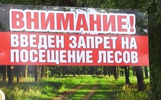 Ограничение