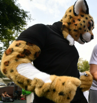 фото:Globallookpress