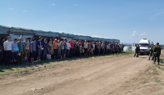 В Волгоградской области «взялись» за незаконные теплицы
