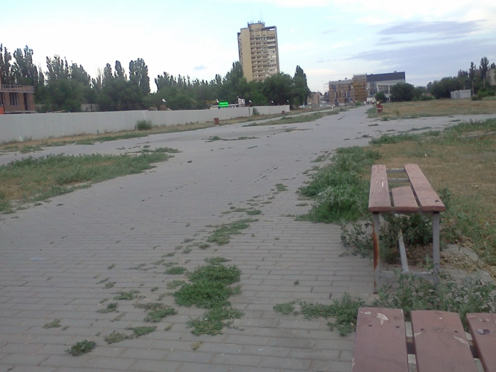 В Волгограде стало известно, кто займется пешеходной аллеей в Красноармейском