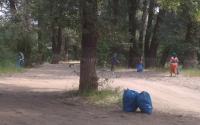 Волгоградцы присоединились к уборке Волго-Ахтубинской поймы