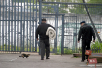 По Волгоградской области искали беглого зека