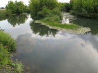 Водоемы Волгоградской области заражены опасными бактериями