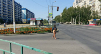 Волгоградцев взволновала обнаженная женщина на проезжей части