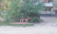 Волгоградцам рассказали почему из горячих кранов нужно подолгу сливать холодную воду