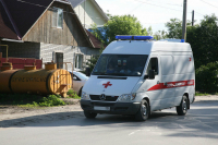 Специалисты рассказали, как часто нападали клещи этим летом на волгоградцев