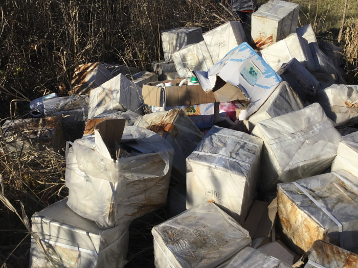В пойме Царицы в Волгограде нашли жуткую свалку с химикатами